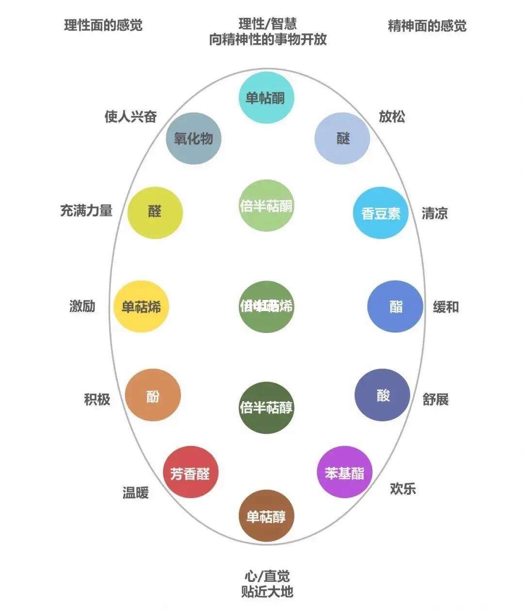 用户评价与品牌声誉之间的关系是什么