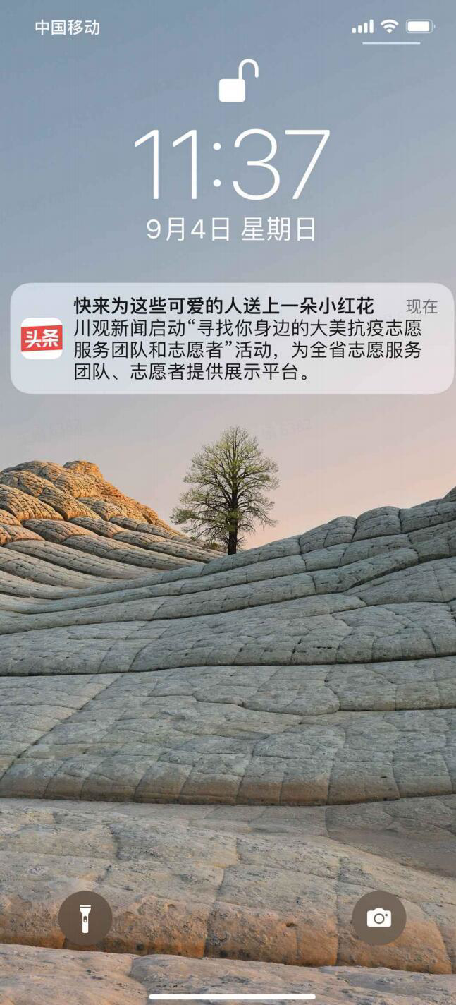 在线平台如何连接志愿者与社区需求
